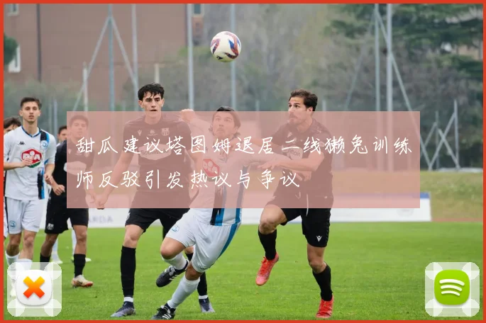 甜瓜建议塔图姆退居二线獭兔训练师反驳引发热议与争议