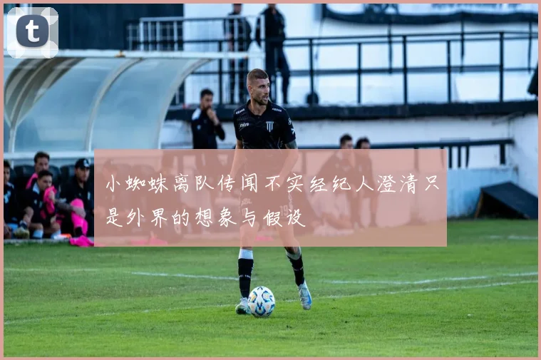小蜘蛛离队传闻不实经纪人澄清只是外界的想象与假设